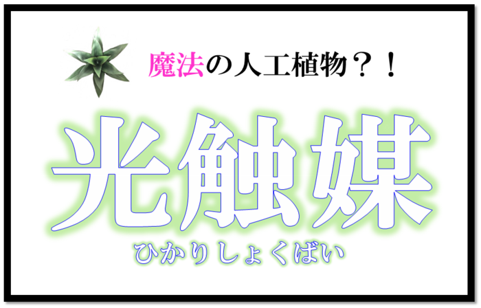 空気清浄&抗菌&消臭&防汚!魔法の人工植物『光触媒』とは